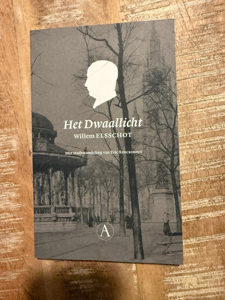 Het dwaallicht - Willem Elsschot (Met stadswandeling..), België, Ophalen of Verzenden, Zo goed als nieuw, Willem Elsschot