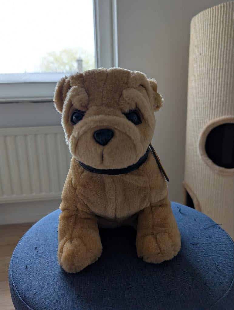 Pitbull knuffel zoekt nieuwe baas, Ophalen of Verzenden, Zo goed als nieuw, Hond
