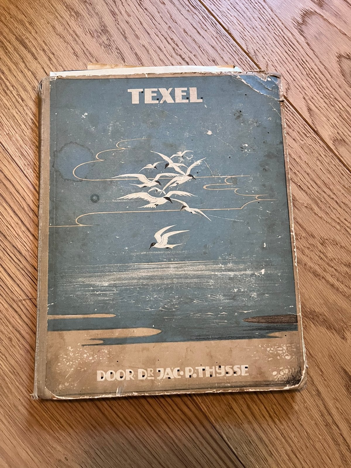 Boek / verzamelalbum Texel van Jac P Thijsse, Ophalen of Verzenden, Gelezen, Plaatjesalbum
