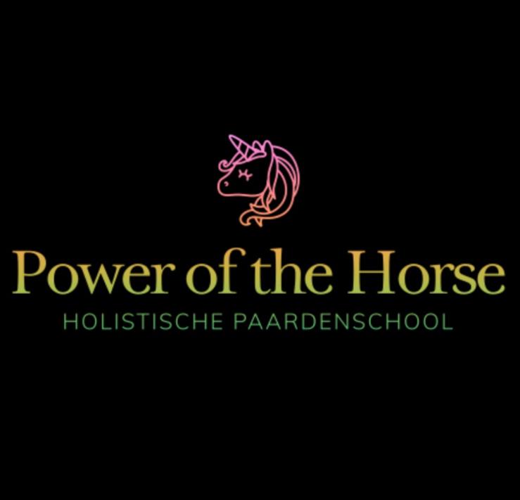 Pensioen, Opfok & Pension in een holistische setting, Weidegang, 4 paarden of pony's of meer