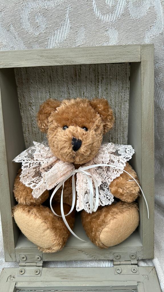 Mooi zacht beertje 23 cm met kraag in groene vitrine, Overige merken, Stoffen beer, Ophalen of Verzenden, Zo goed als nieuw