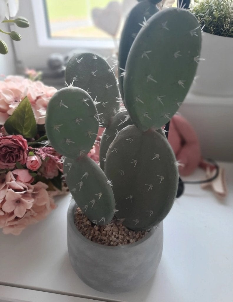 J-Line cactus, Huis en Inrichting, Ophalen, 48 cm, Zo goed als nieuw, Grijs