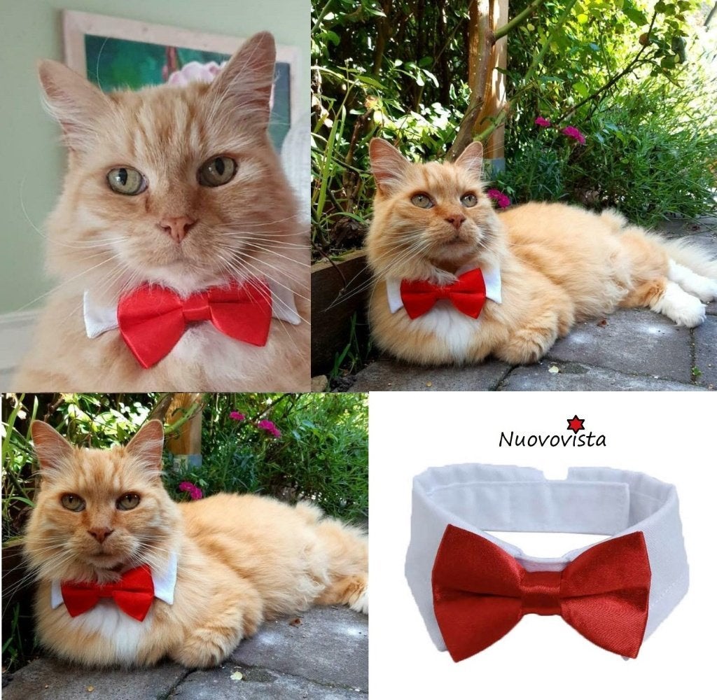 Kat of Poezen Kraag Strik of Stropdas Kleine Hond, Dieren en Toebehoren, Katten-accessoires, Verzenden, Nieuw
