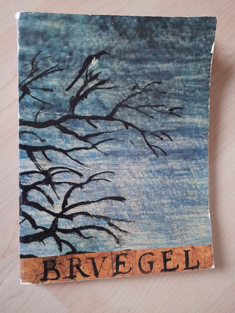 BRUEGEL DE SCHILDER EN ZIJN LEVEN, Ophalen of Verzenden, Gelezen