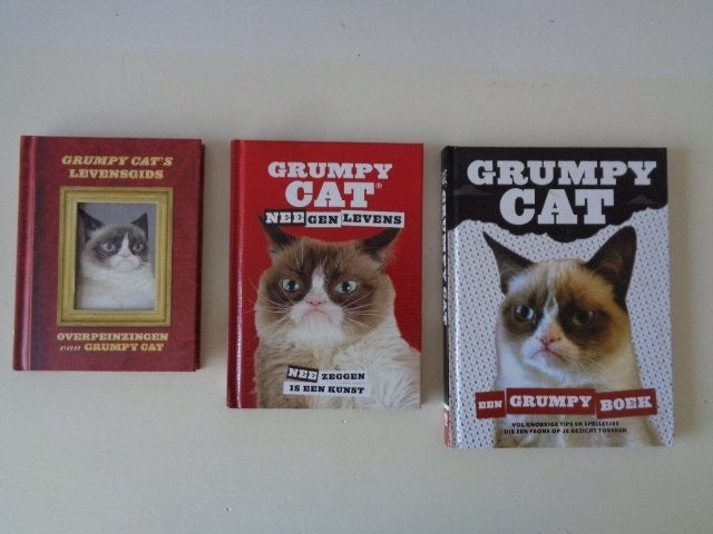 18550-18-2 : Katten / Poezen : 3 Grumpy cat boekjes. 2D, Ophalen of Verzenden, Zo goed als nieuw
