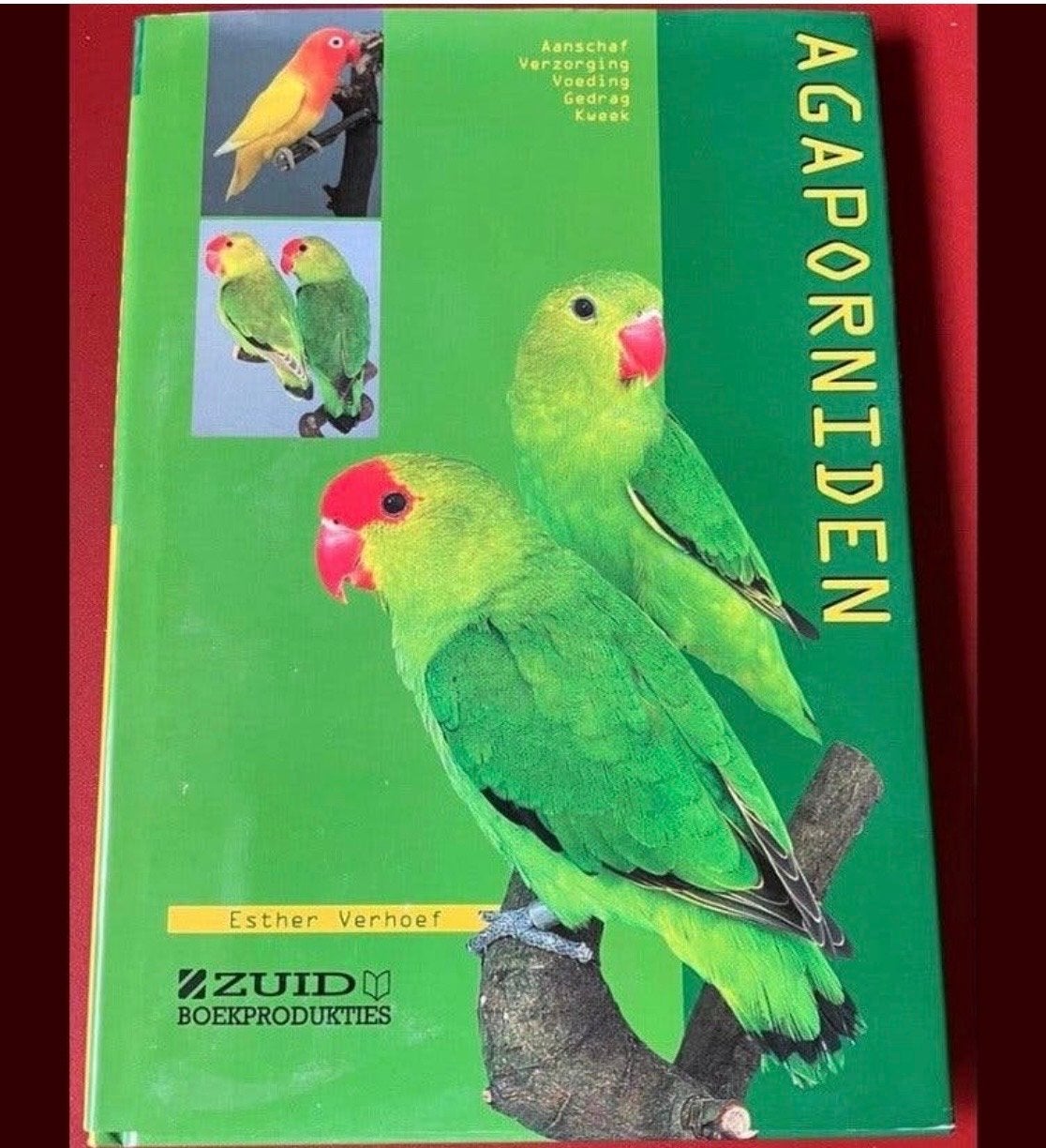Agaporniden - Esther Verhoef - Boek over dwergpapegaaien, Boeken, Ophalen of Verzenden, Gelezen, Vogels