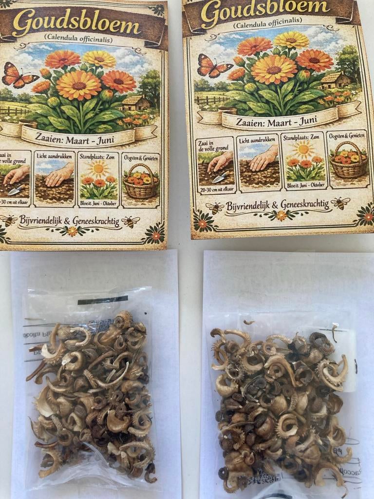 Zaden goudsbloem biologisch / Calendula officinalis, Ophalen of Verzenden, Voorjaar, Volle zon, Zaad