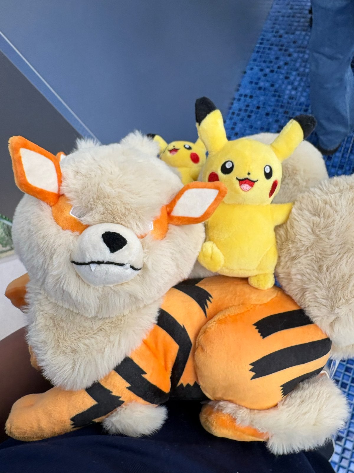 Pokémon Center Okinawa exclusive: Arcanine en Pikachu, Gebruikt, Overige typen, Ophalen of Verzenden, Middelgroot (20 tot 80 cm)