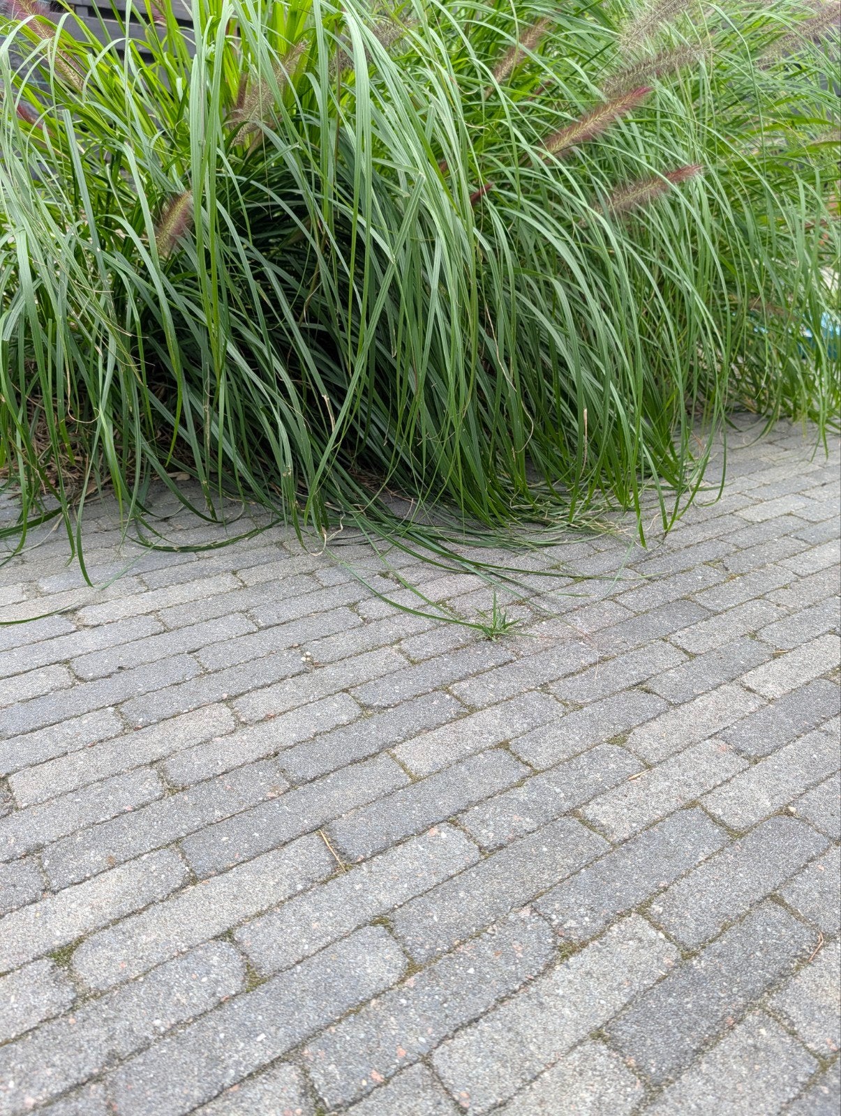 45 m² klinkers + 9 grote tegels – scherpe prijs!, Tuin en Terras, Tegels en Klinkers, Ophalen, Klinkers, Zo goed als nieuw, 10 m² of meer