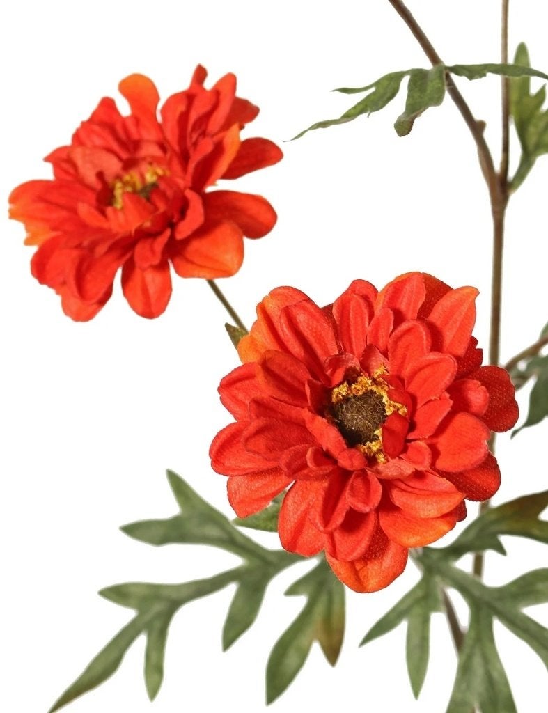 TOP ART - PRACHTIGE DAHLIA TAK, Ophalen of Verzenden, Nieuw