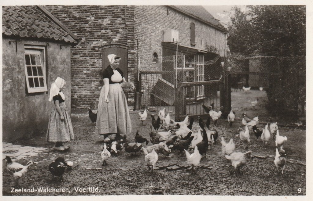 WALCHEREN Klederdracht Voertijd Kippen 1943, Verzenden, 1940 tot 1960, Gelopen, Zeeland
