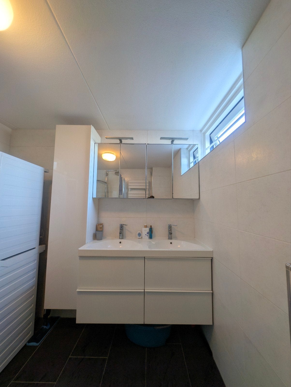 wastafel meubel badkamer. Kast en spiegelkast., Ophalen