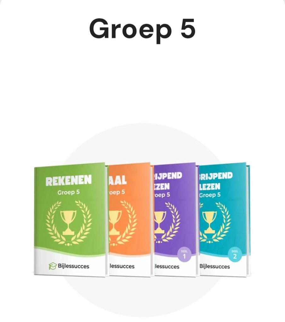 Bijlessucces Groep 5: Rekenen, Taal, Begrijpend Lezen, Boeken, Ophalen of Verzenden, Zo goed als nieuw, Overige niveaus, Nederlands