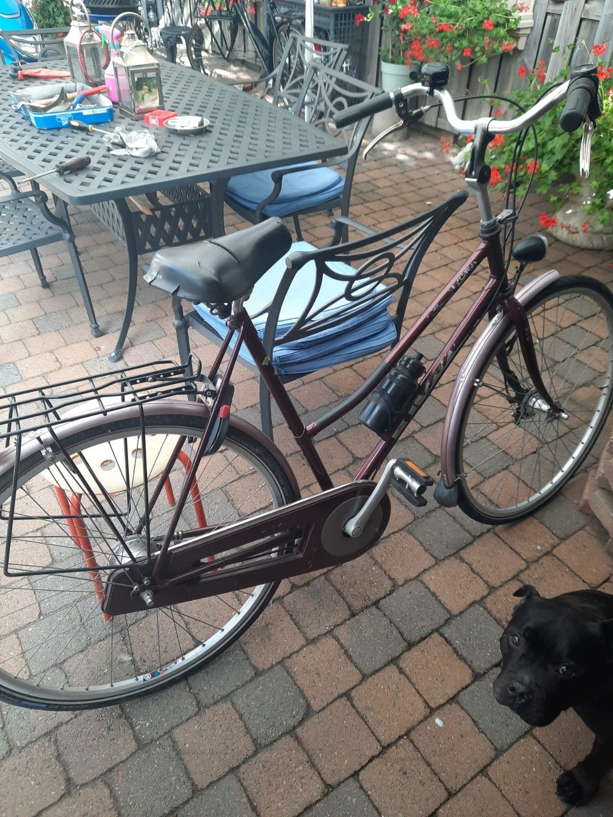 Damesfiets met 7 versnellingen, Velgrem, Versnellingen, Zo goed als nieuw, 50 tot 53 cm