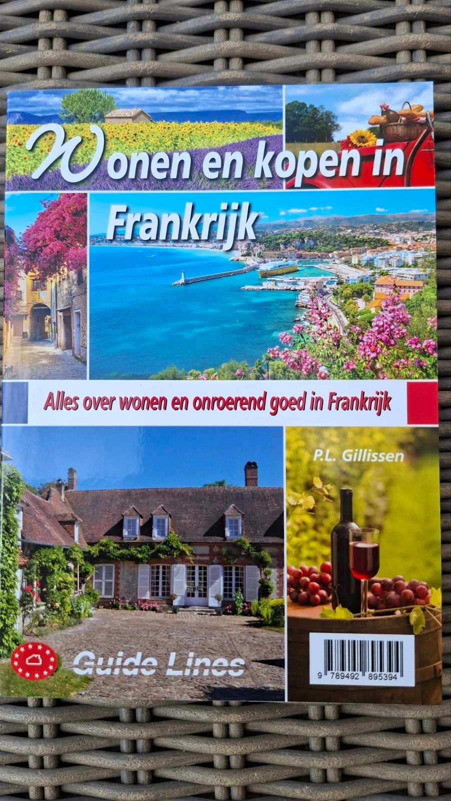 Wonen en kopen in Frankrijk - boek over emigreren, Boeken, Ophalen of Verzenden, Nieuw, Peter Gillissen