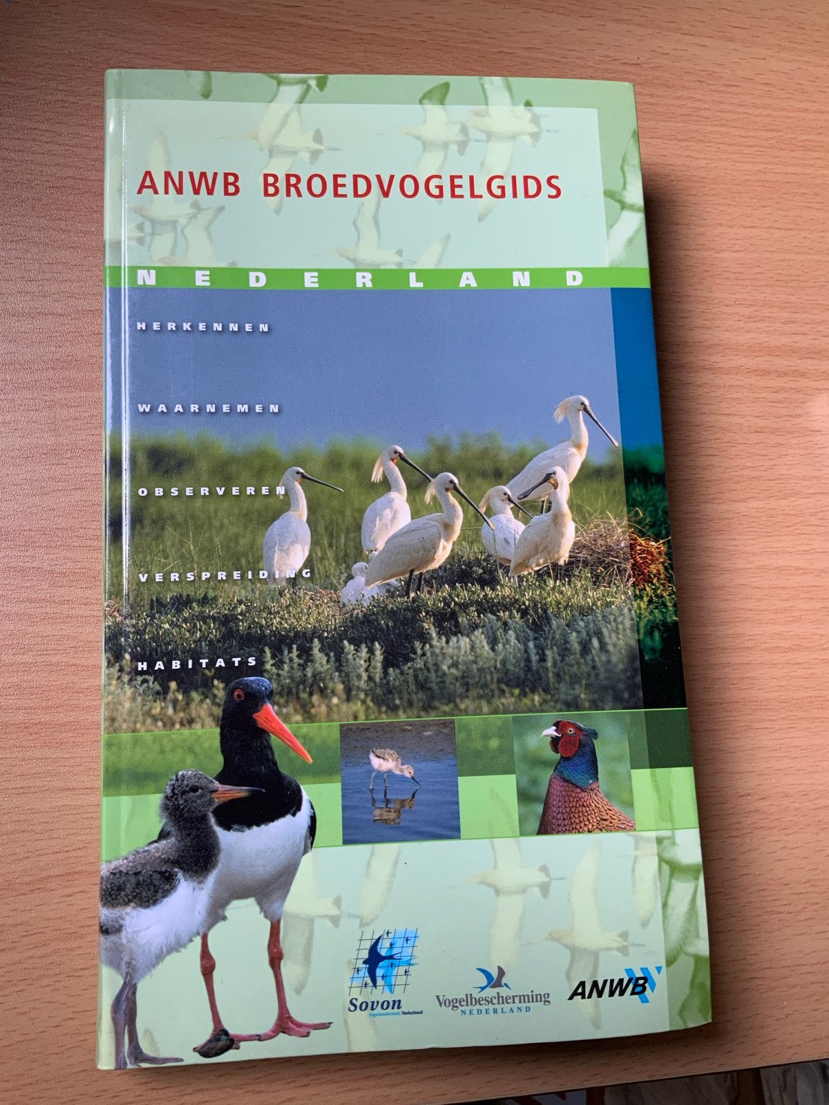 ANWB Broedvogelsgids Nederland - Herkennen & Waarnemen, Boeken, Ophalen of Verzenden, Zo goed als nieuw, Vogels