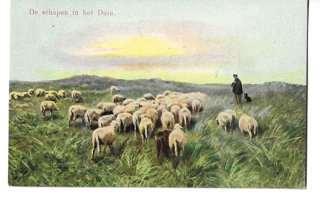 schaapherder met  hond  in de duinen  1920?, Verzenden, Voor 1920, Ongelopen, Ambachten of Beroep