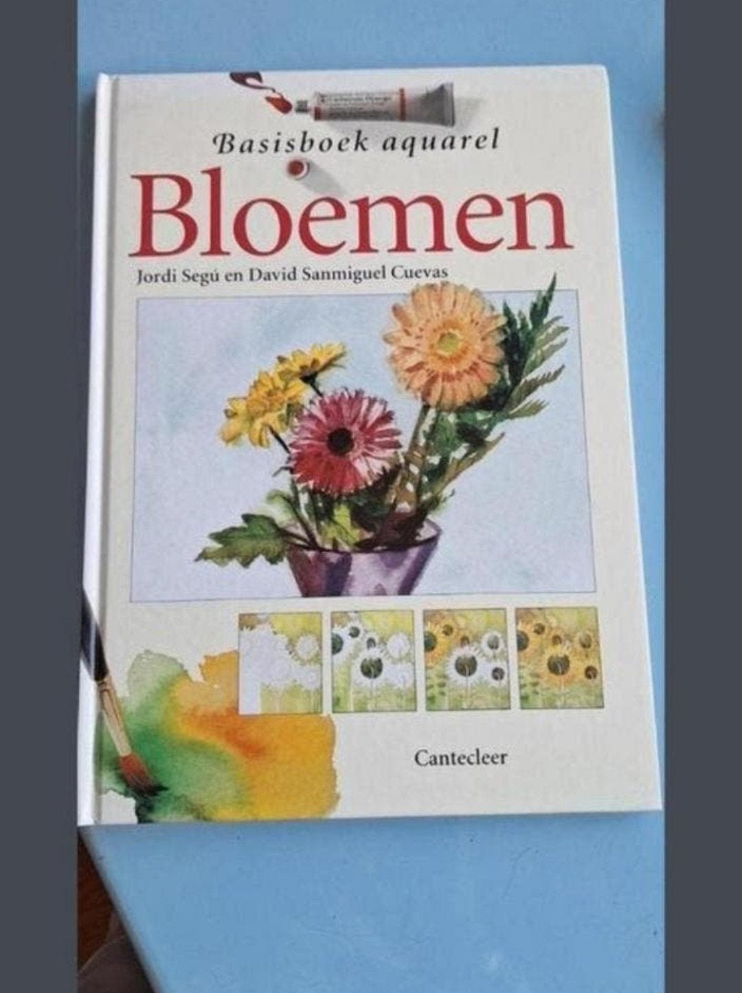 Basisboek aquarel: Bloemen - Jordi Segú en David S, Boeken, Ophalen of Verzenden, Zo goed als nieuw, Schilder- en Tekenkunst, Jordi Segú en David Sanmiguel Cuevas