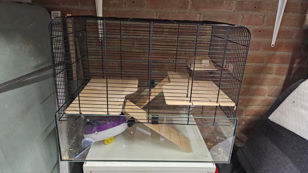 Hamsterkooi glas en zwart metaal, Dieren en Toebehoren, Knaagdieren en Konijnen | Hokken en Kooien, Kooi, Gebruikt, Minder dan 75 cm