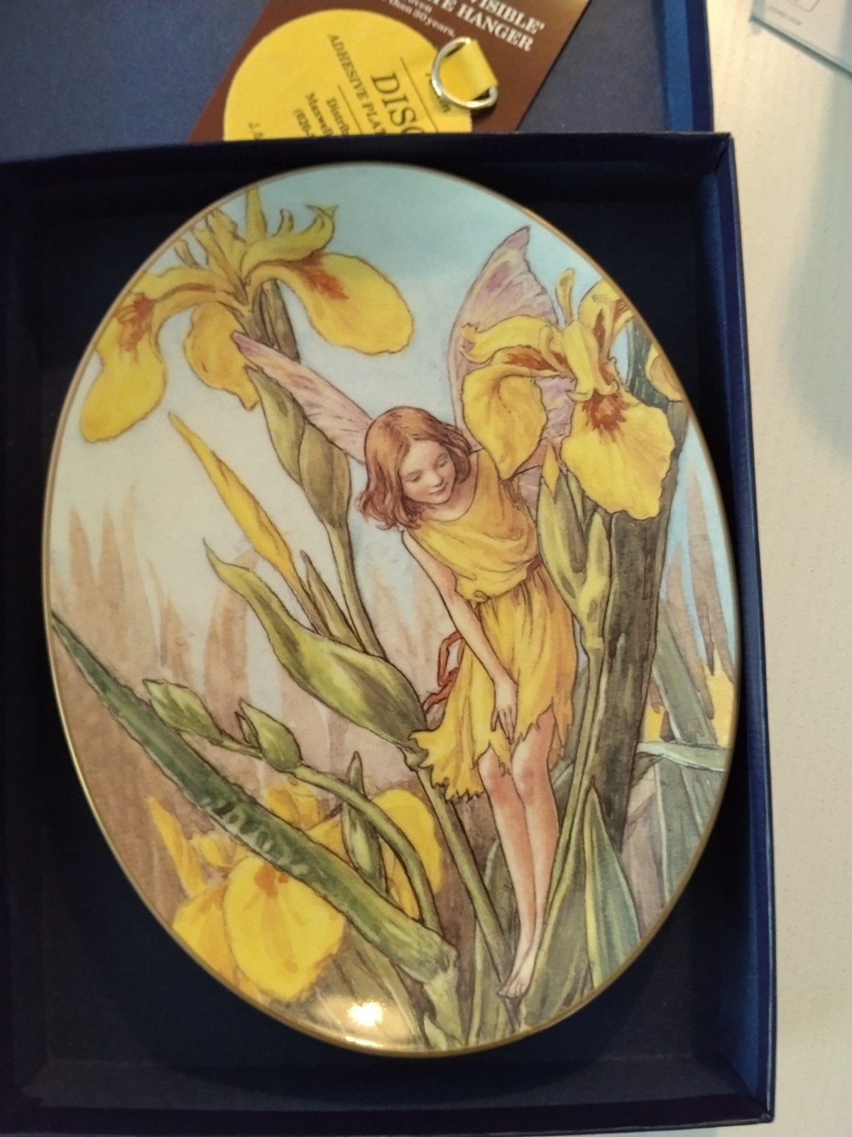 Royal Worcester 'The Iris Fairy' Flower Fairies bordje, Antiek en Kunst, Ophalen of Verzenden