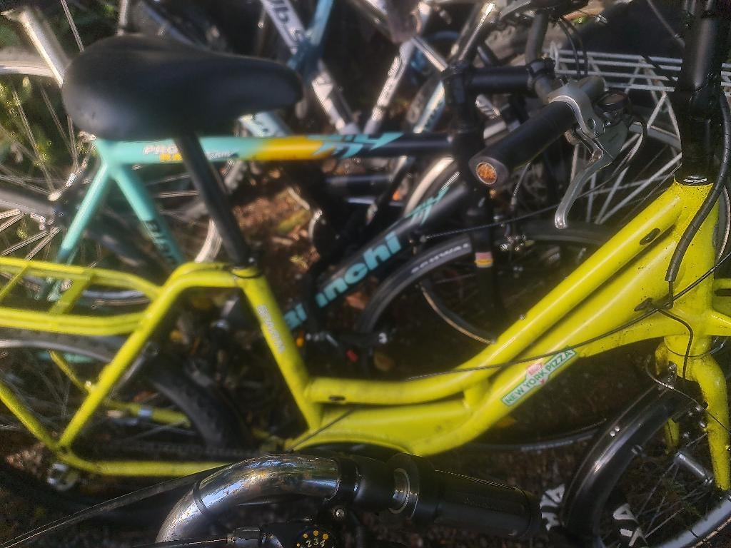 Kinderfiets transport Bosch. 45 €, Ophalen of Verzenden, Gebruikt, 24 inch, Versnellingen