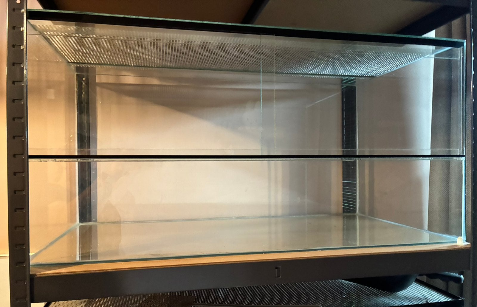 Terrarium 100x50x50 cm, Kooi, Zo goed als nieuw, Muis, 75 tot 110 cm