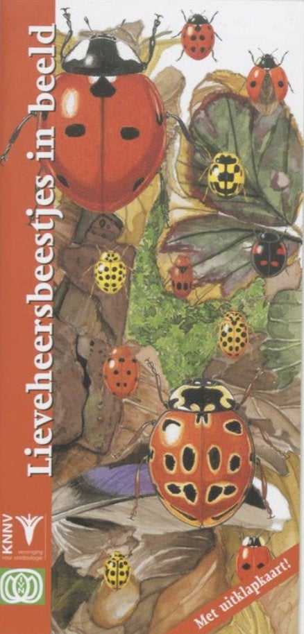 Lieveheersbeestjes in beeld, Boeken, Ophalen of Verzenden, Nieuw, Natuur algemeen