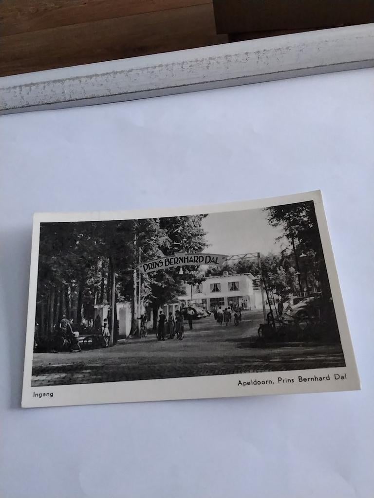 APELDOORN   PRINS BERNHARD  DAL. 1956, Ophalen of Verzenden, 1940 tot 1960, Gelderland