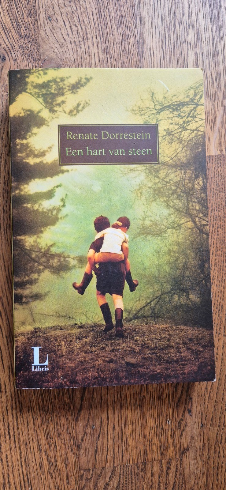 Renate Dorrestein - Een hart van steen (Libris), Ophalen of Verzenden, Gelezen, Renate Dorrestein, Nederland