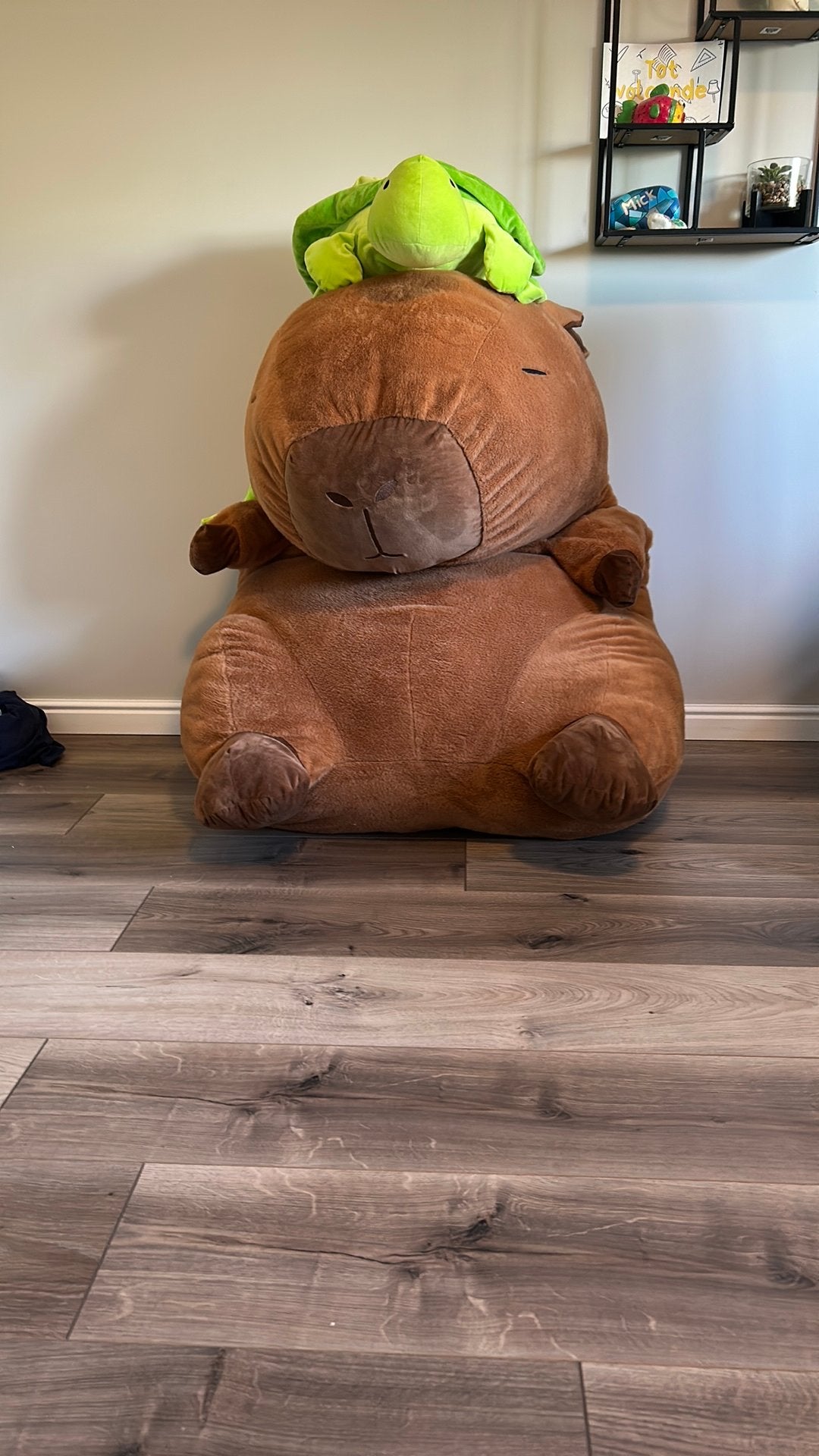 Mega Capybara knuffel ALLEEN OPHALEN!!, Kinderen en Baby's, Speelgoed | Knuffels en Pluche, Ophalen, Overige merken, Overige karakters