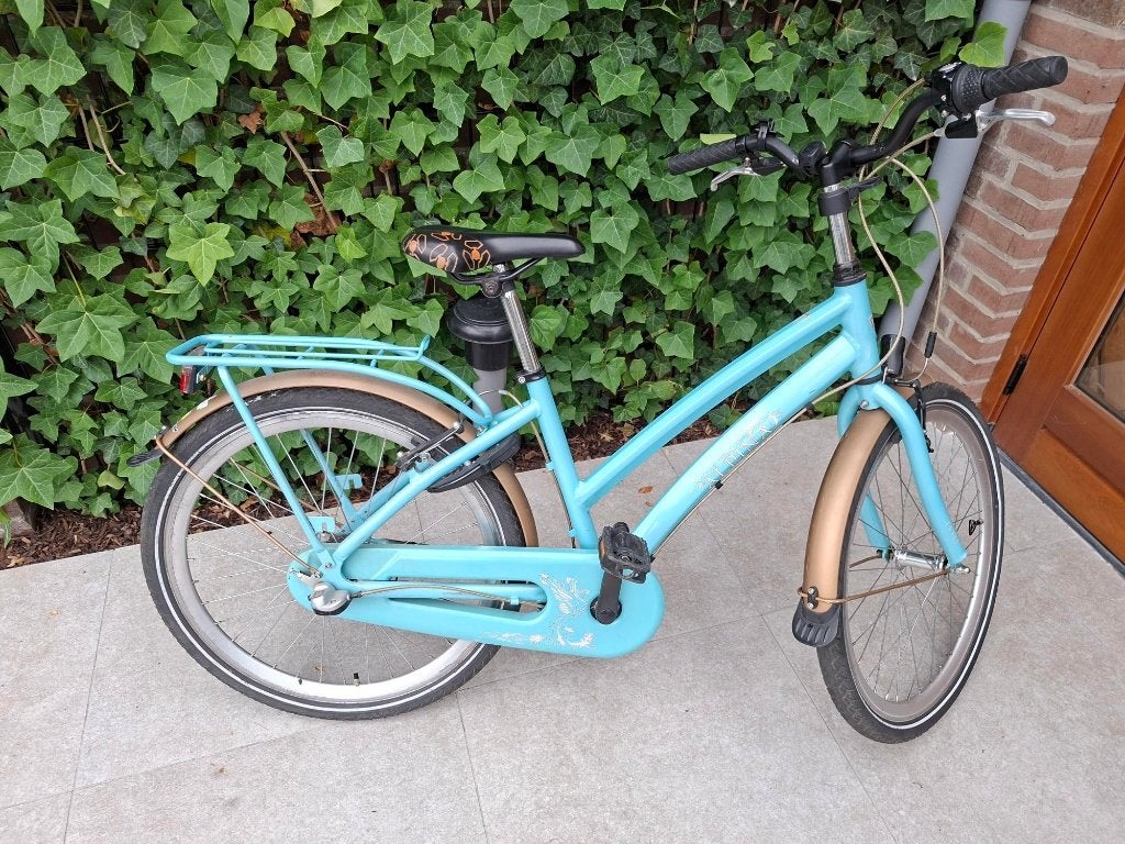 mooie alpina curve 24 inch (framemaat 40-42), Ophalen, Terugtraprem, Alpina, Versnellingen