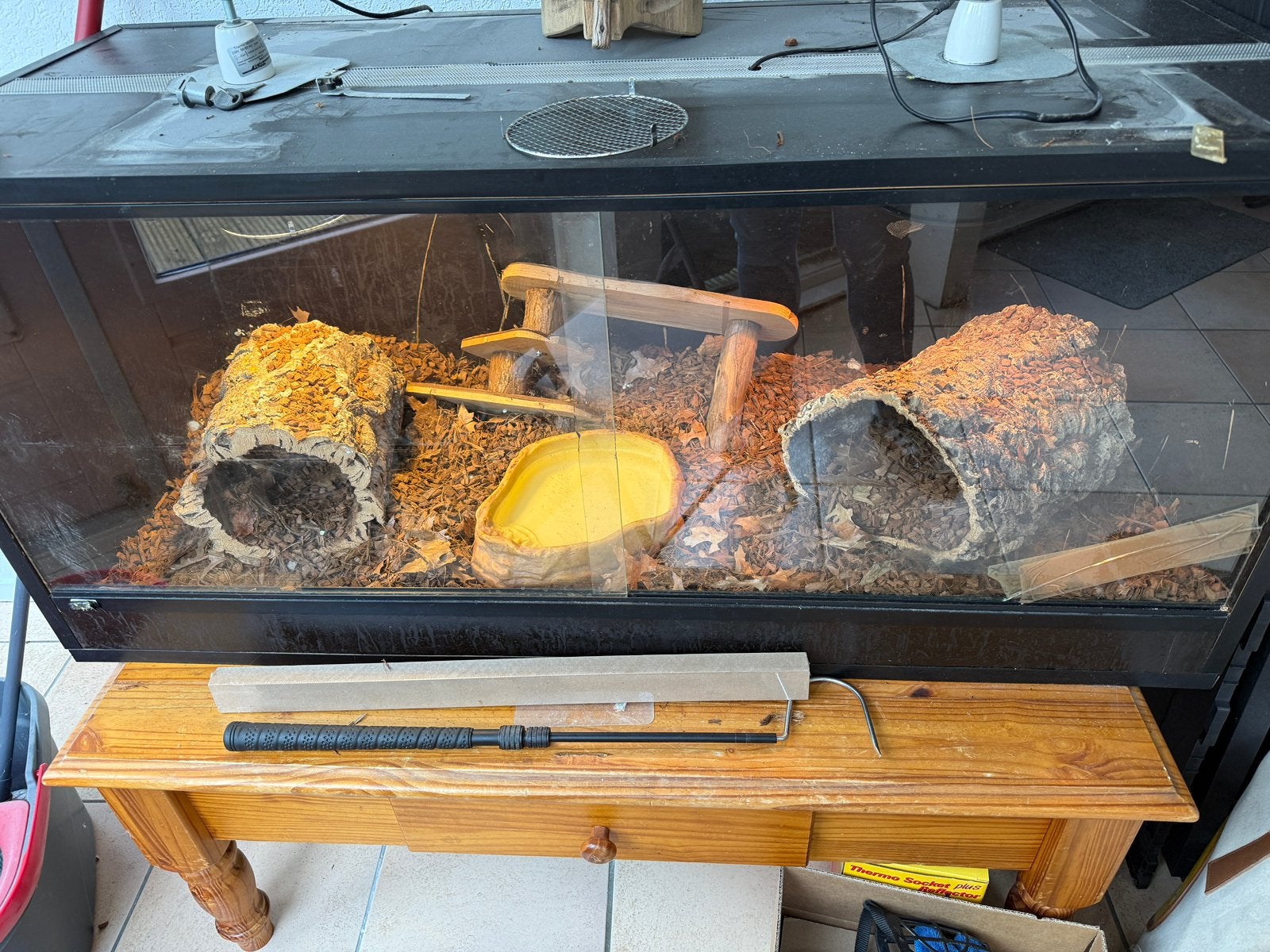 Betonplexterrarium met Koningspython (Python regius) Ball Python photo 3