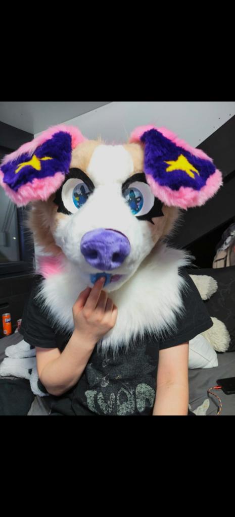 Fursuit partial HQ (WITHOUT CHARACTER RIGHTS), Ophalen of Verzenden, Nieuw, Accessoires