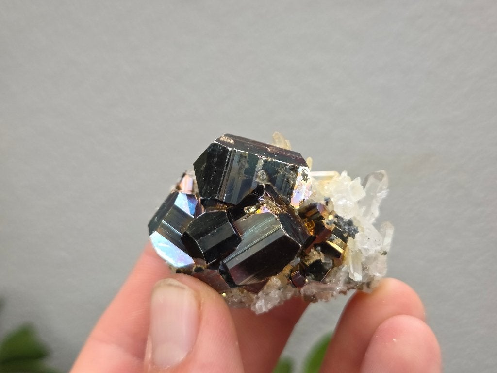 Regenboog Pyriet Indonesië, Ophalen of Verzenden, Mineraal