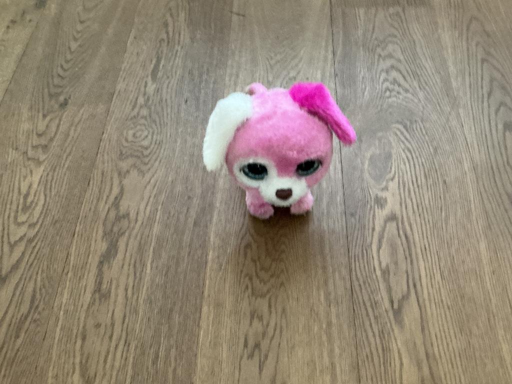 Hondje op batterij, Ophalen, Zo goed als nieuw, Hond, Interactief