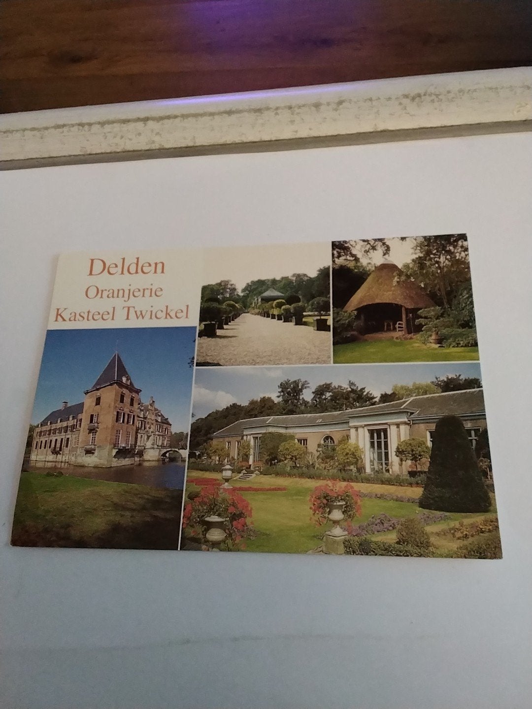 Ansichtkaart Delden Oranjerie Kasteel Twickel, Ophalen of Verzenden, Overijssel