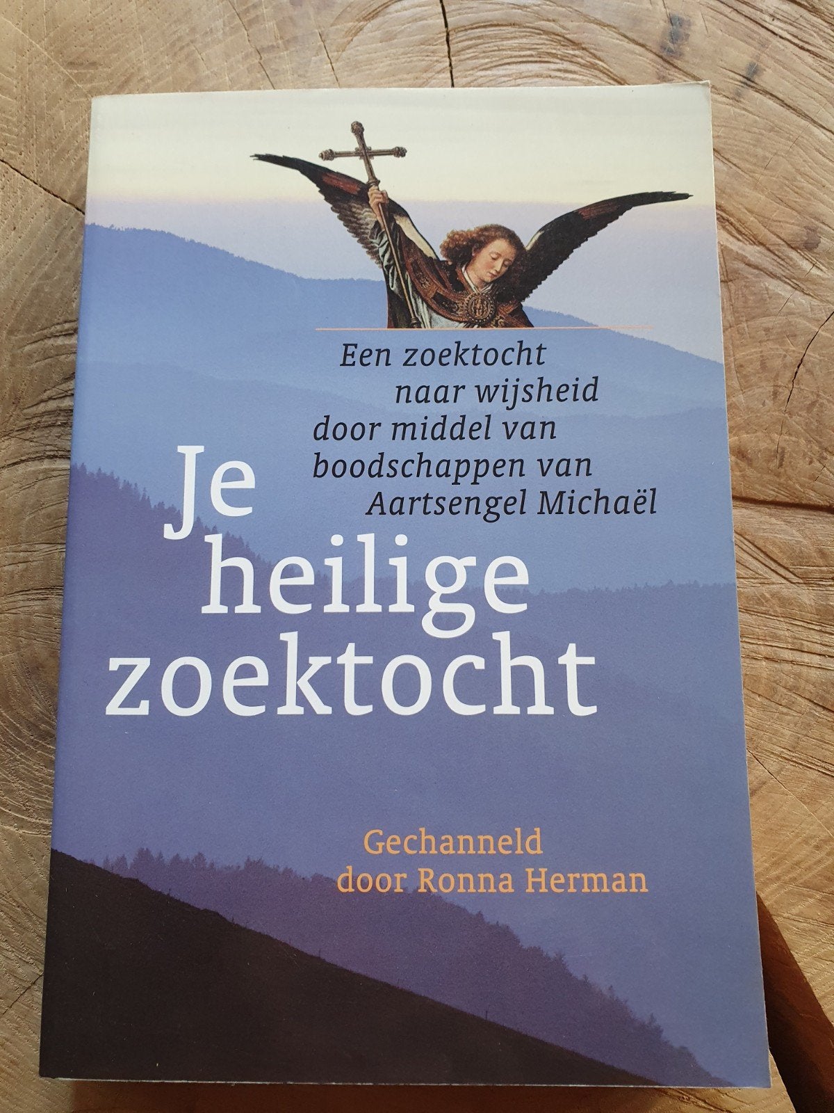 Ronna Herman - Je heilige zoektocht, Boeken, Achtergrond en Informatie, Spiritualiteit algemeen, Ophalen of Verzenden, Zo goed als nieuw