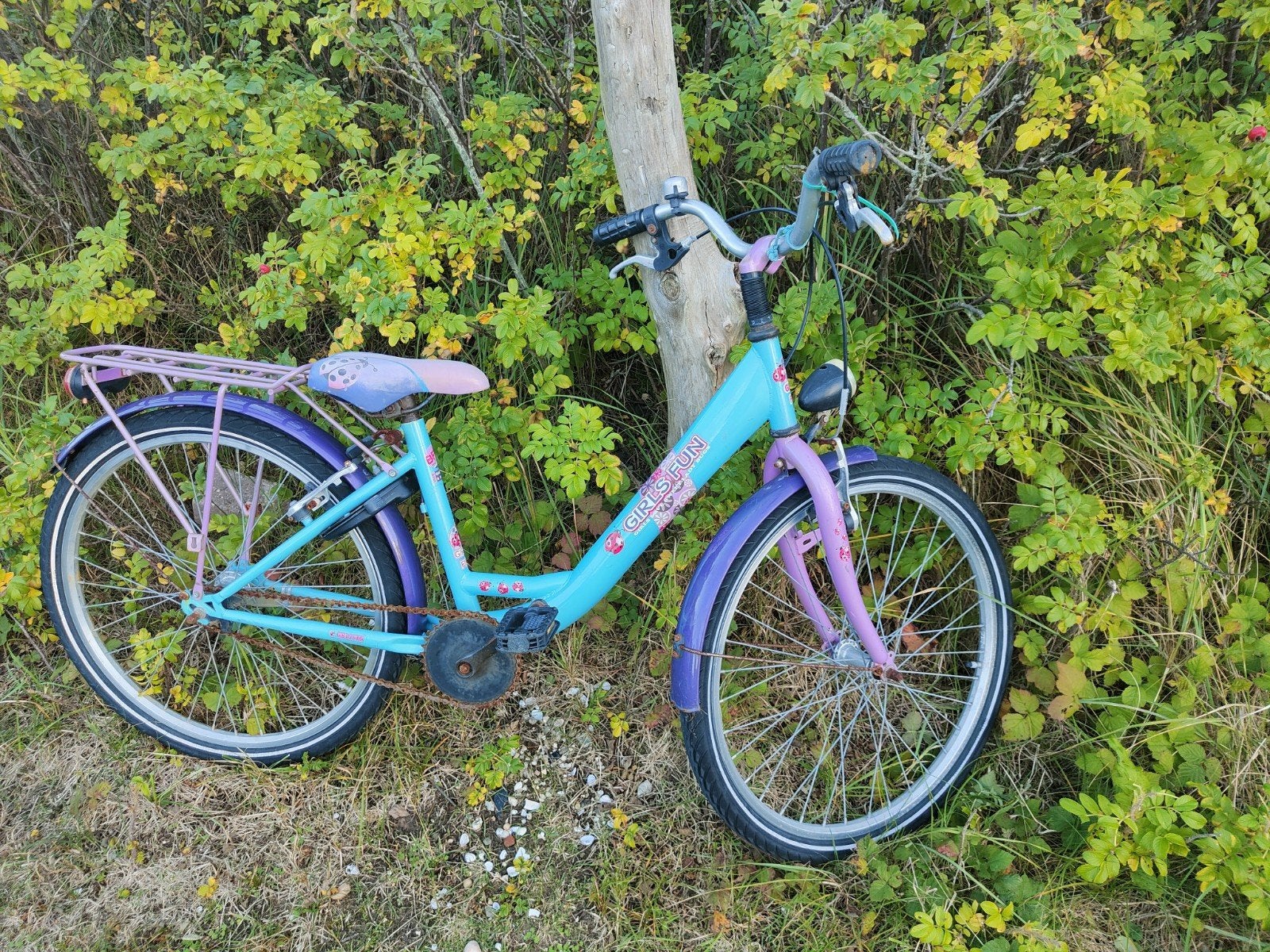 Kinderfiets gratis af te halen op camping de Lakens, Gebruikt, Velgrem, Ophalen of Verzenden, Handrem