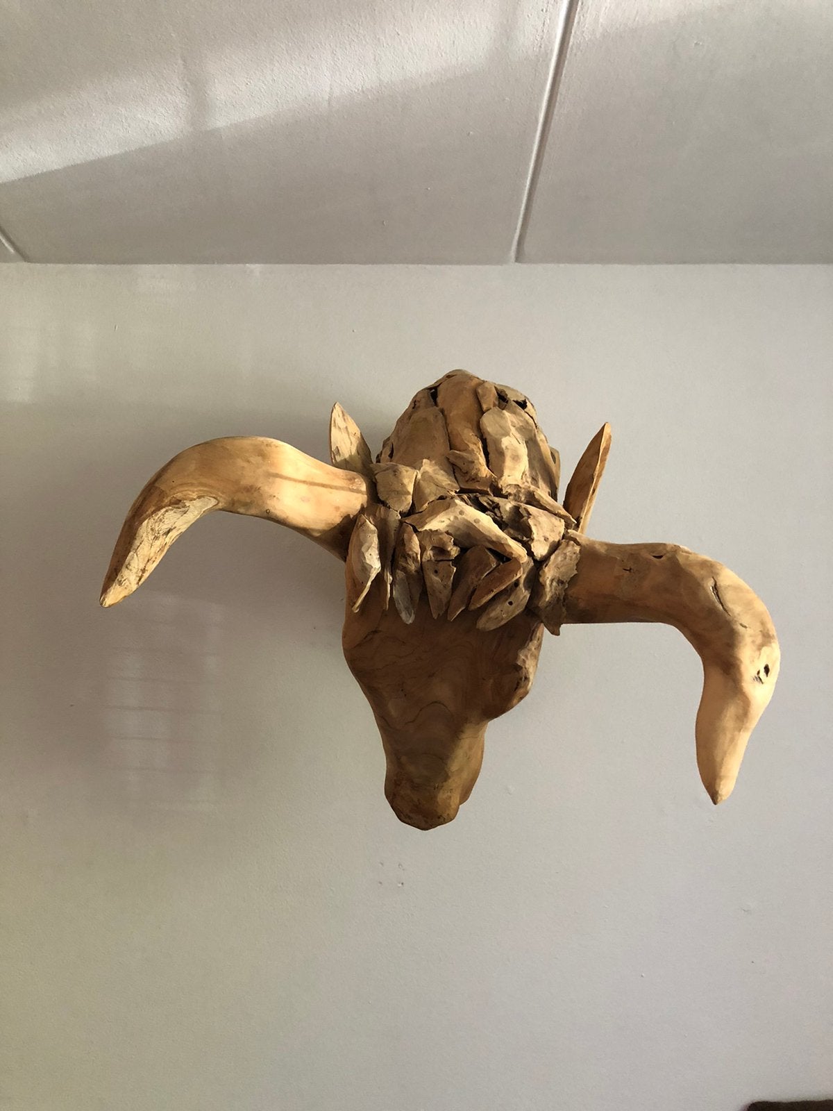 Teakhouten bull xxl, Ophalen, Nieuw