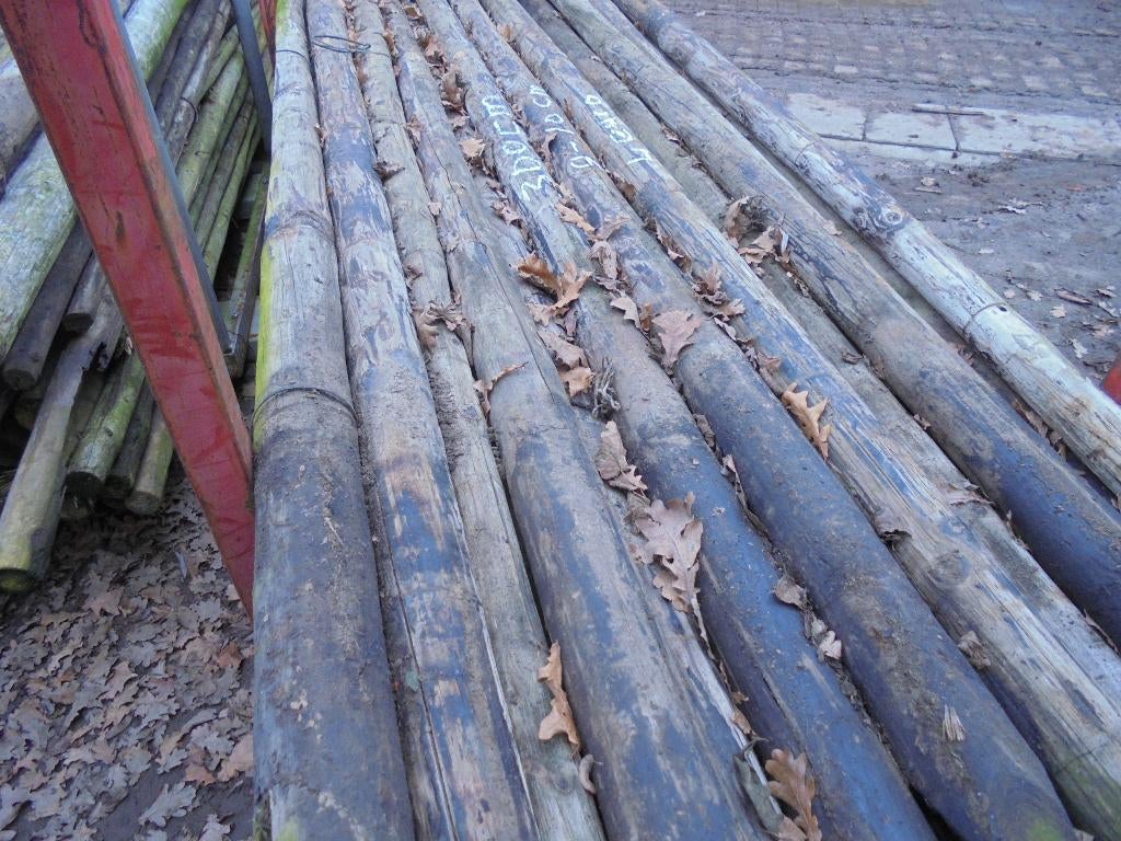 boompalen   dik  9-10 cm  lang  300 cm, Tuin en Terras, Ophalen, Gebruikt, 250 cm of meer, Balken
