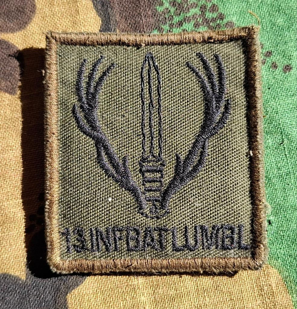 Borstembleem 5x5 13 Infanteriebataljon Luchtmobiele Brigade, Ophalen of Verzenden, Landmacht, Nederland, Embleem of Badge