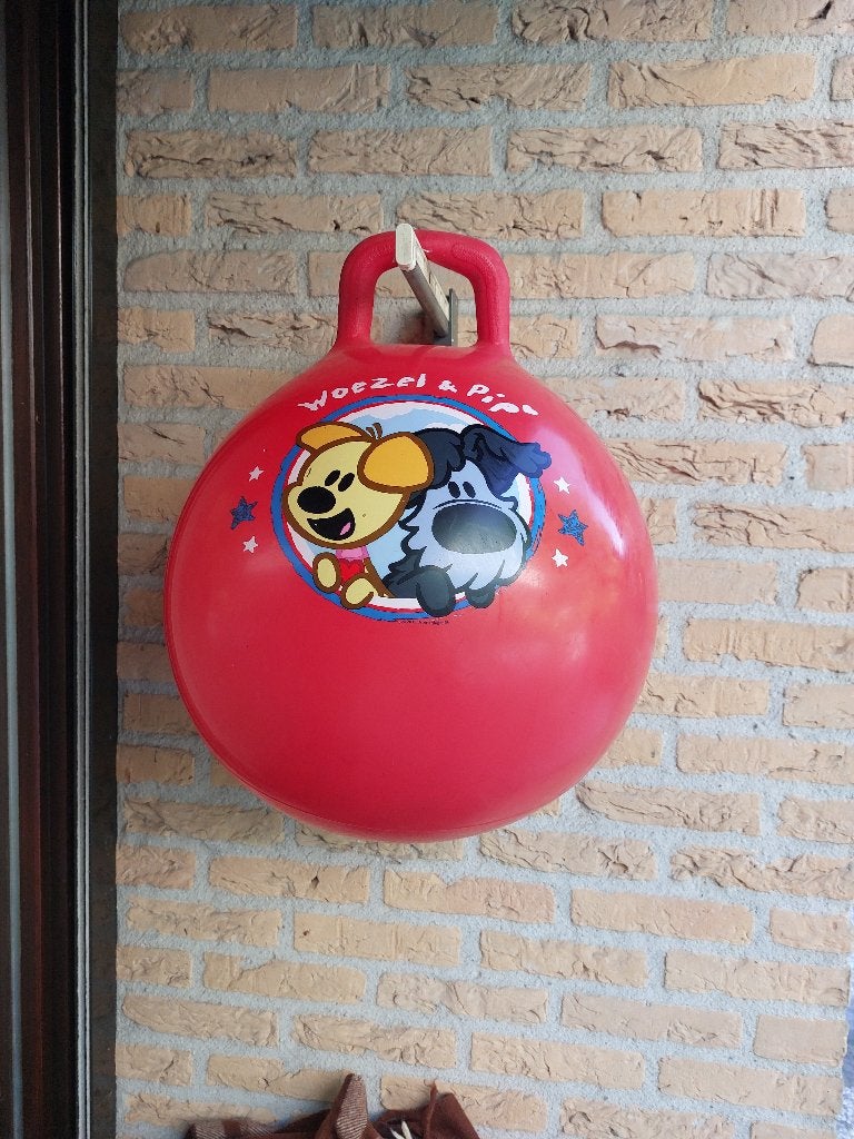 skippybal Woezel en Pip,doorsnee 40 cm. geschikt v.a. 36 mnd, Kinderen en Baby's, Speelgoed | Buiten | Los speelgoed, Ophalen