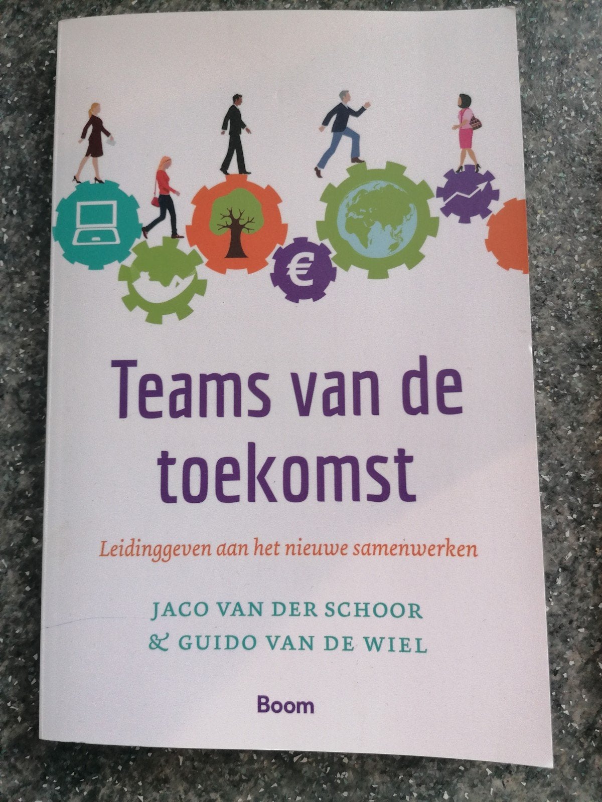 Teams van de toekomst., Ophalen of Verzenden, Zo goed als nieuw, Jaco van der Schoor & Guido van de Wiel