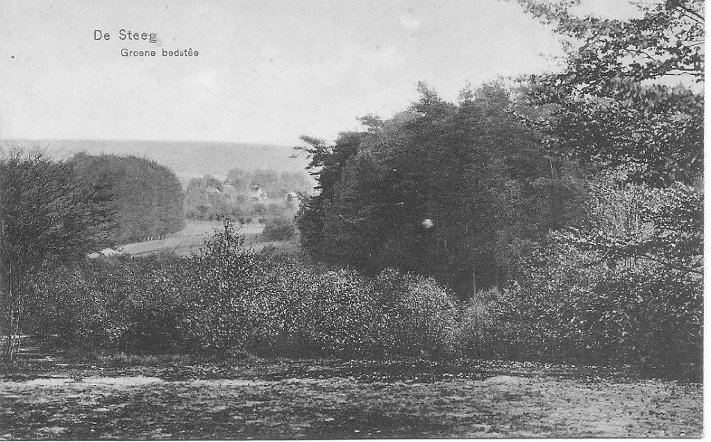 Den Steeg   Groene Bedstee., Ophalen of Verzenden, 1920 tot 1940, Ongelopen, Gelderland
