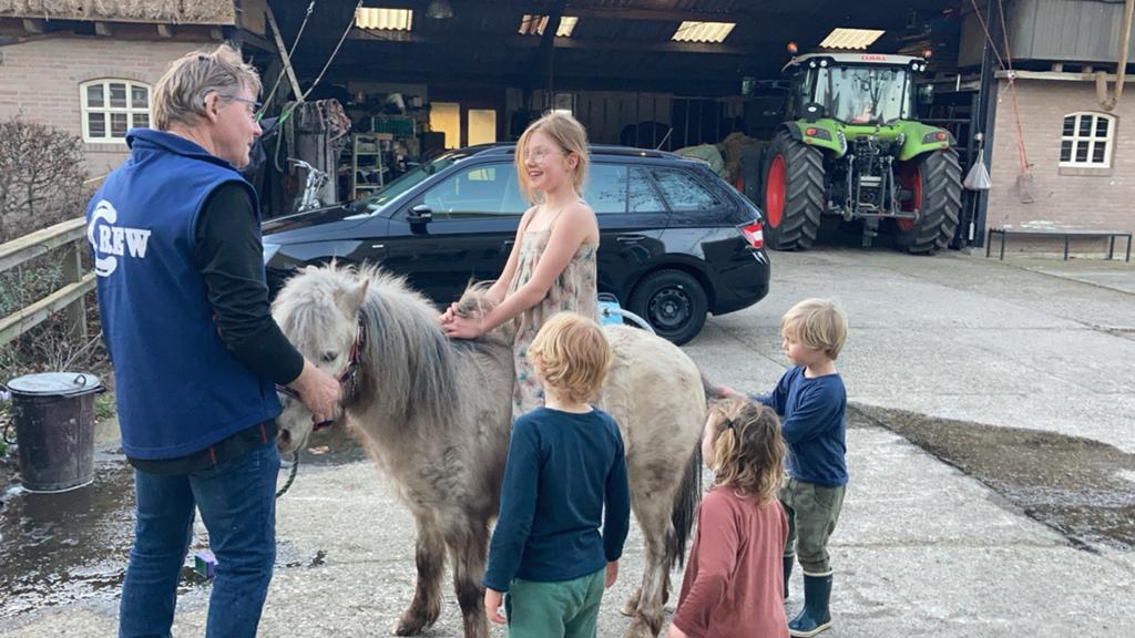 Heel makke kinderpony’s, Dieren en Toebehoren, Pony's, Ruin, A pony (tot 1.17m), 0 tot 2 jaar