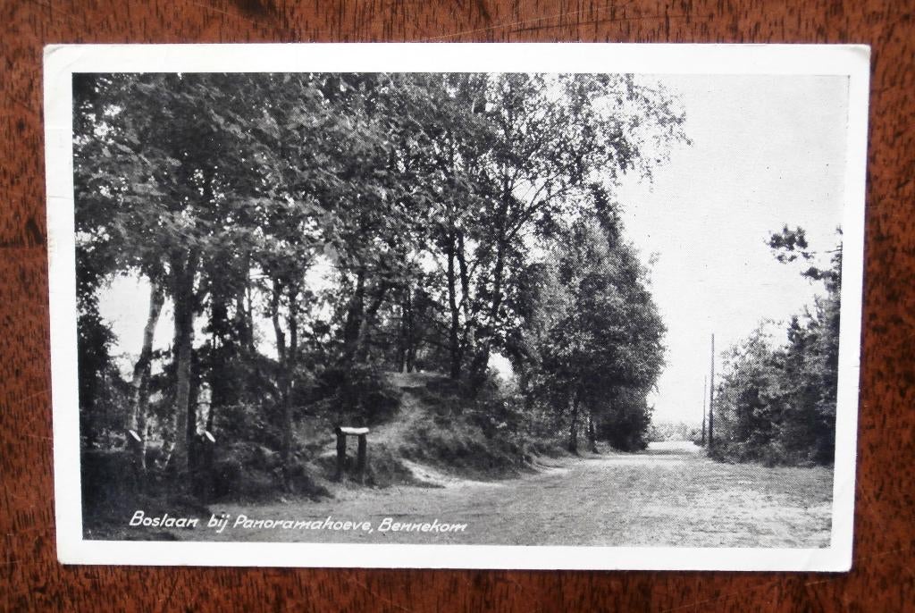 Bennekom Boslaan bij Panoramahoeve, Ophalen of Verzenden, Voor 1920, Noord-Brabant