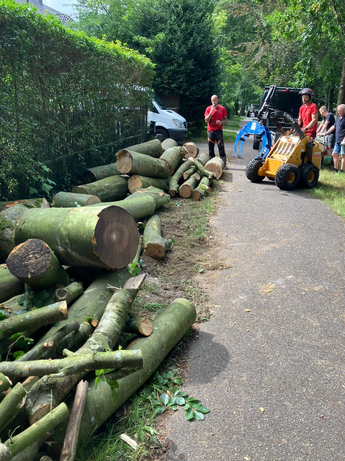 Haardhout Populier: 10,- per kuub, Minder dan 3 m³, Ophalen