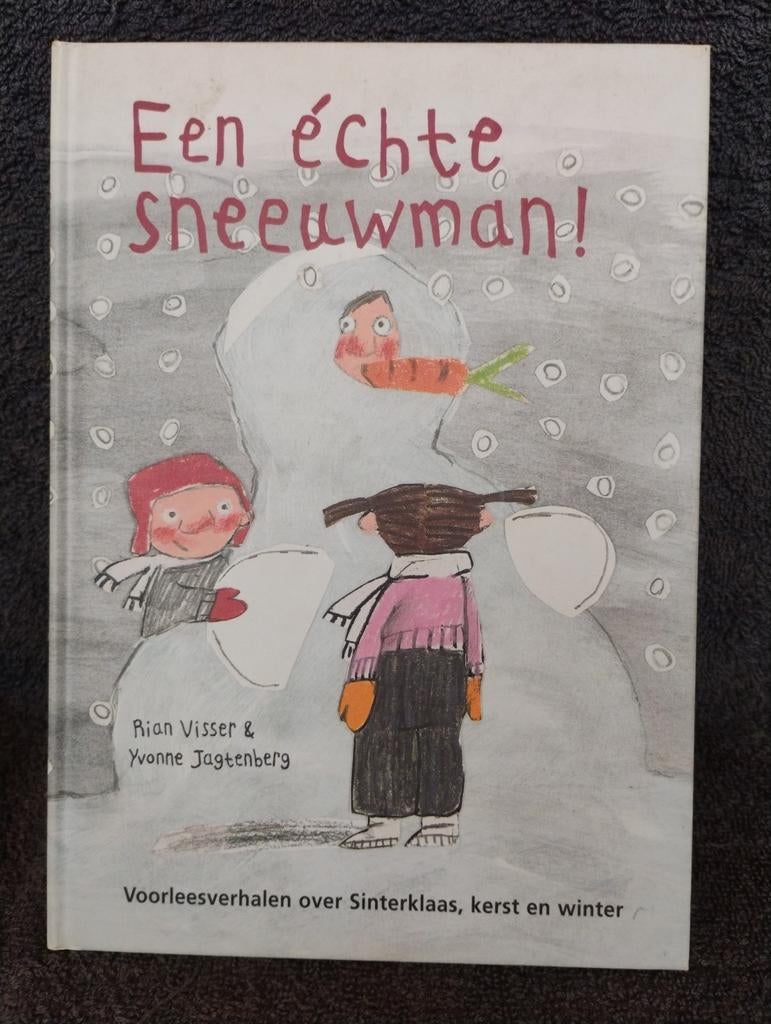 Een échte sneeuwman! Voorleesboek, 3 tot 4 jaar, Rian Visser & Yvonne Jagtenberg, Ophalen of Verzenden, Zo goed als nieuw