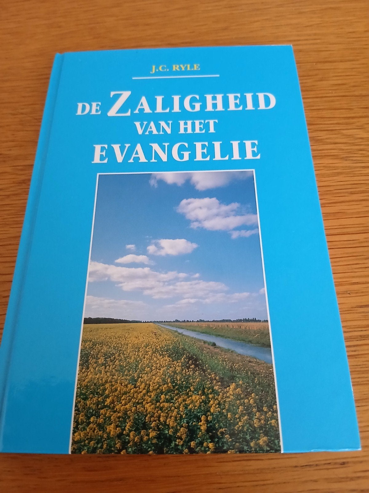 J.C. Ryle - De zaligheid van het evangelie, Ophalen of Verzenden, Gelezen, J.C. Ryle