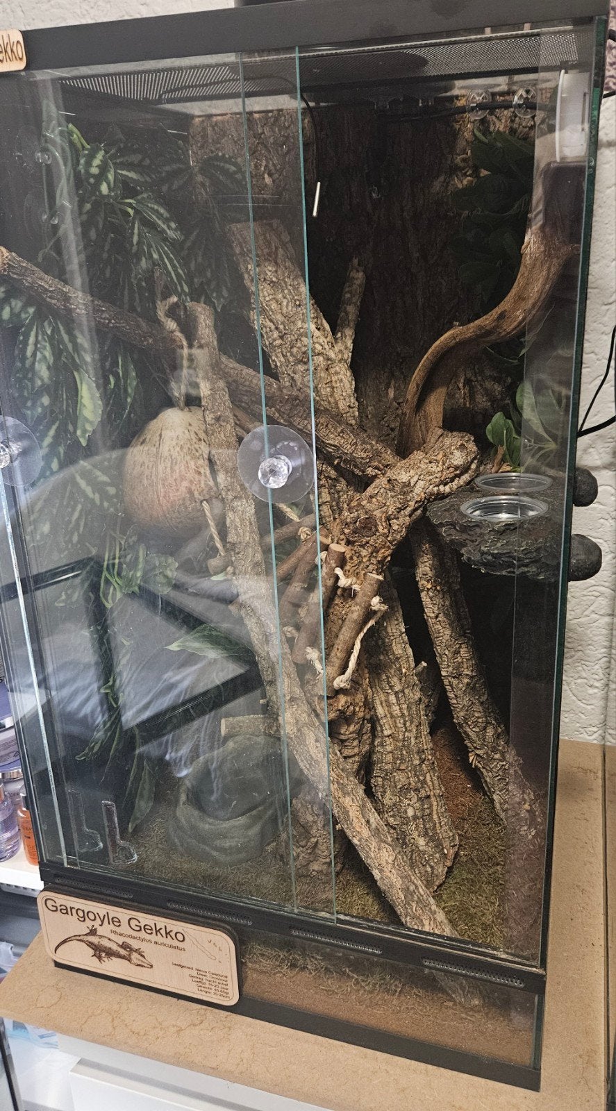 Terrarium 40x40x70 exclusief inhoud, Dieren en Toebehoren, Ophalen, Zo goed als nieuw
